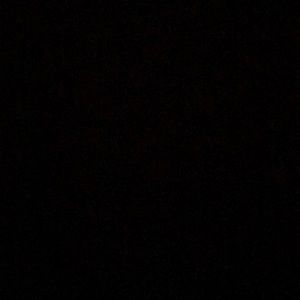 Meet your Posher, Laila